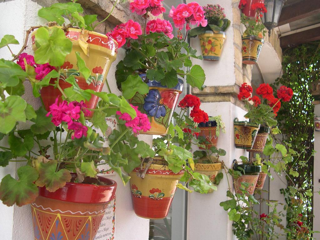 Hotel Cortijo Los Gallos Chiclana de la Frontera Ngoại thất bức ảnh