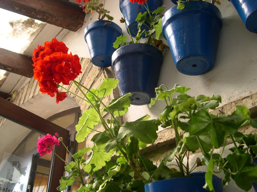 Hotel Cortijo Los Gallos Chiclana de la Frontera Ngoại thất bức ảnh